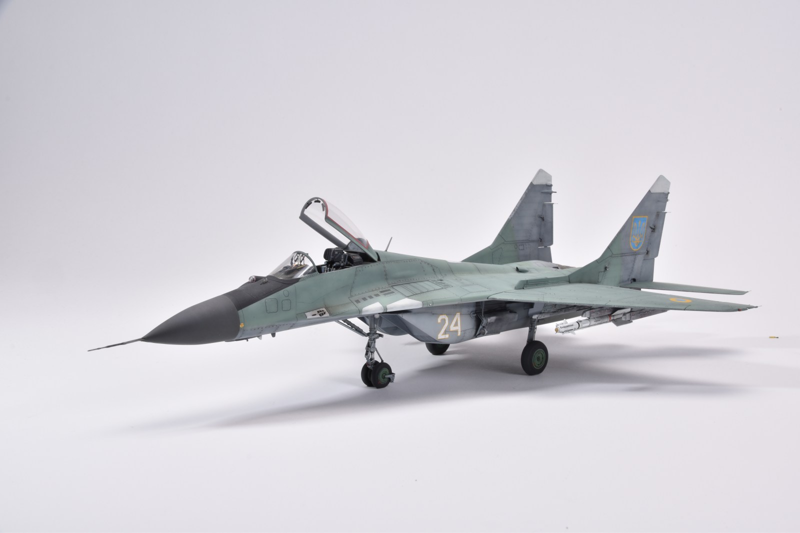 IPMS_60
