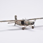 IPMS_81
