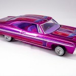 FSDNW0224_20
