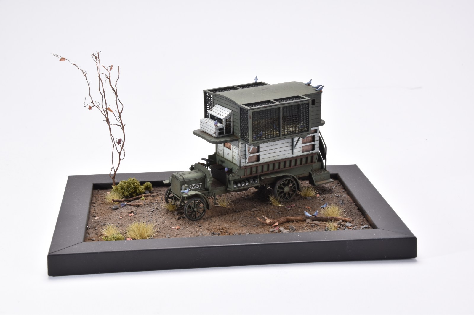 FSDHC0424_47