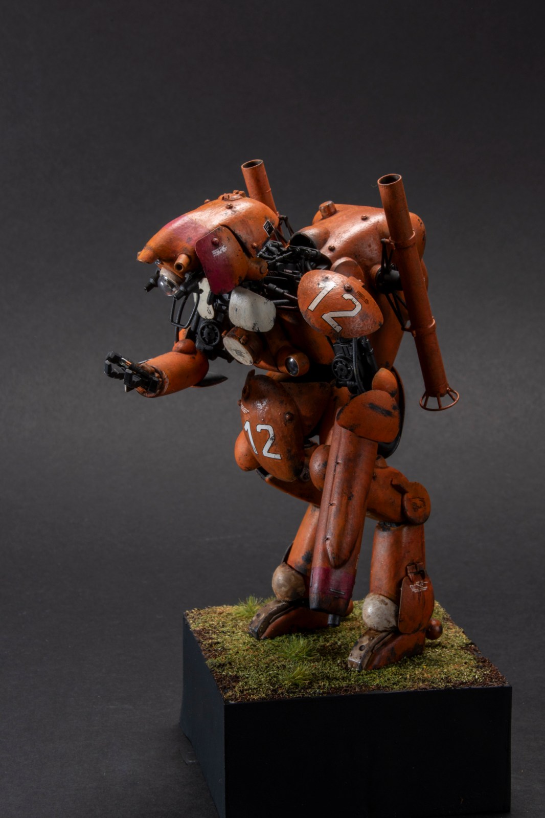 FSDWF0624_24