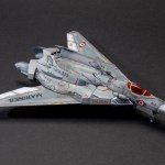 FSDWF0624_69