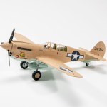 FSDNI0724_29