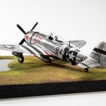 FSDNI0724_30