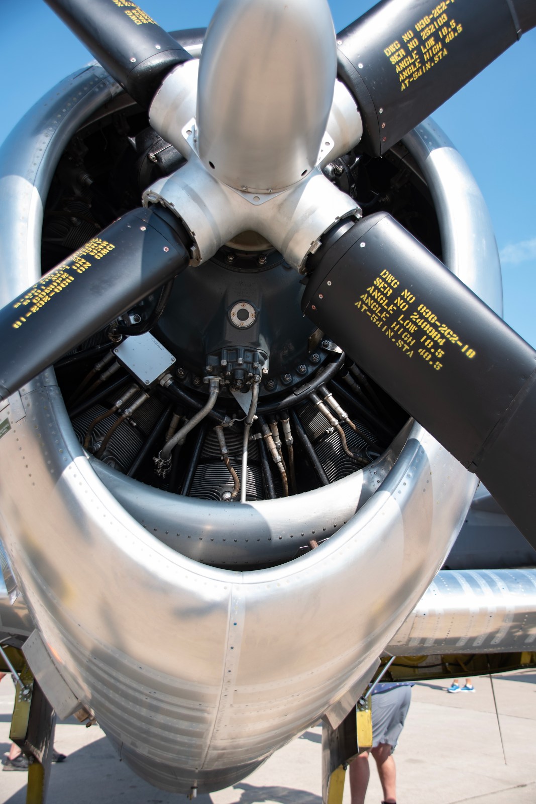 FSDWAA0824_22