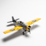 FSDIP2024_04