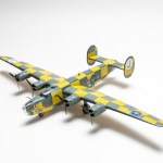 FSDIP2024_11