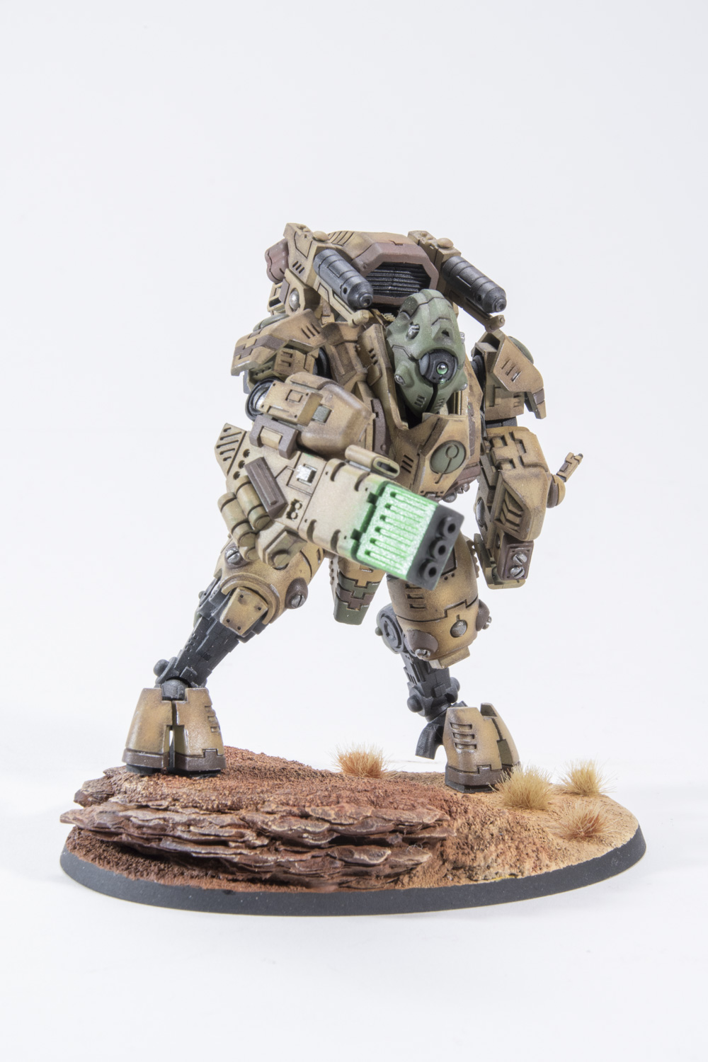 FSDIP2024_230