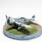 FSDIP2024_32