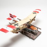 FSDIP2024_39