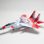 FSDIP2024_47
