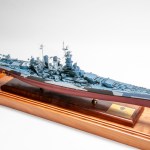 FSDIP2024_58
