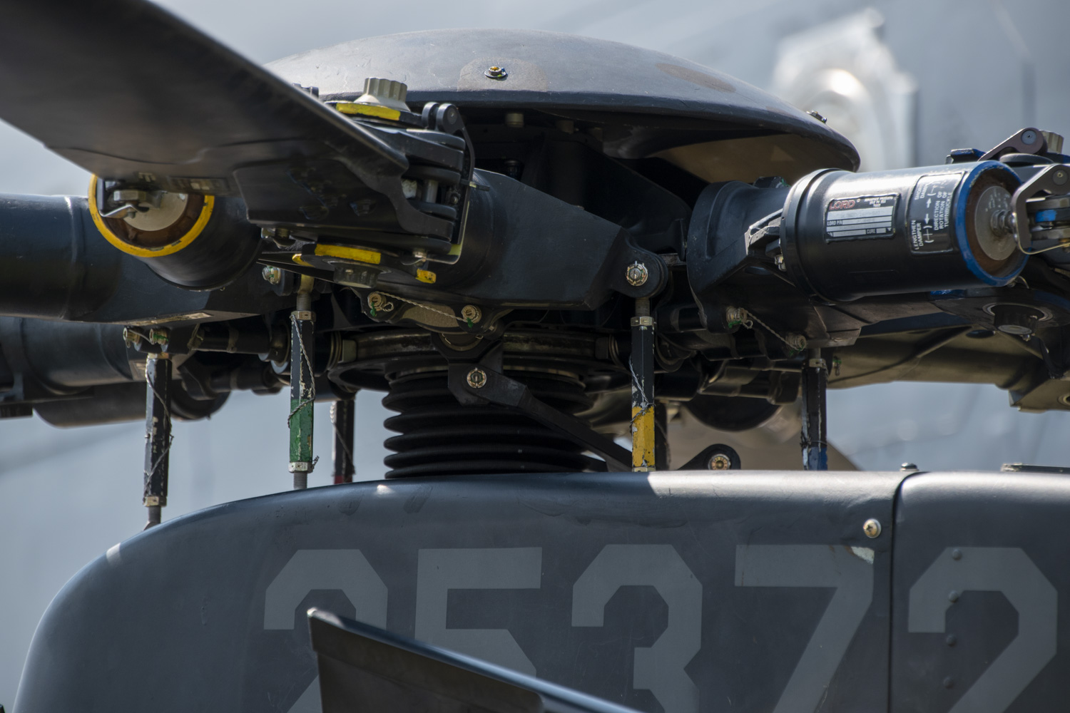 FSDWAD0824_16