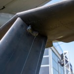 FSDWAD0824_23