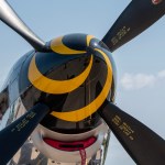FSDWAA0924_15