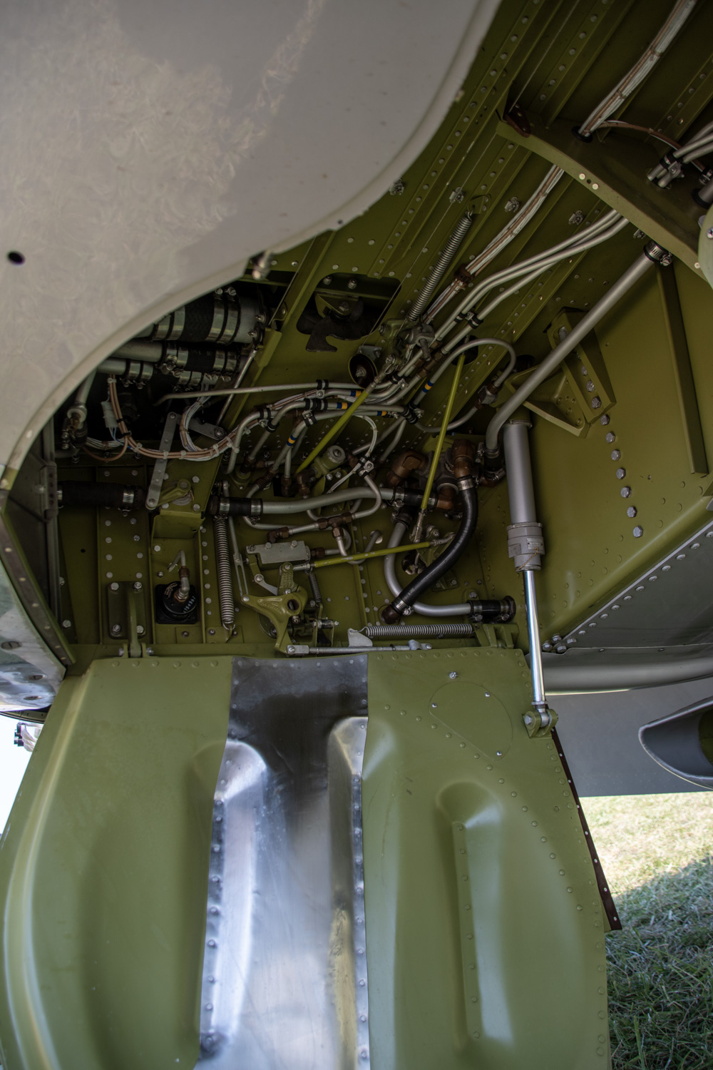 FSDWAA0924_19