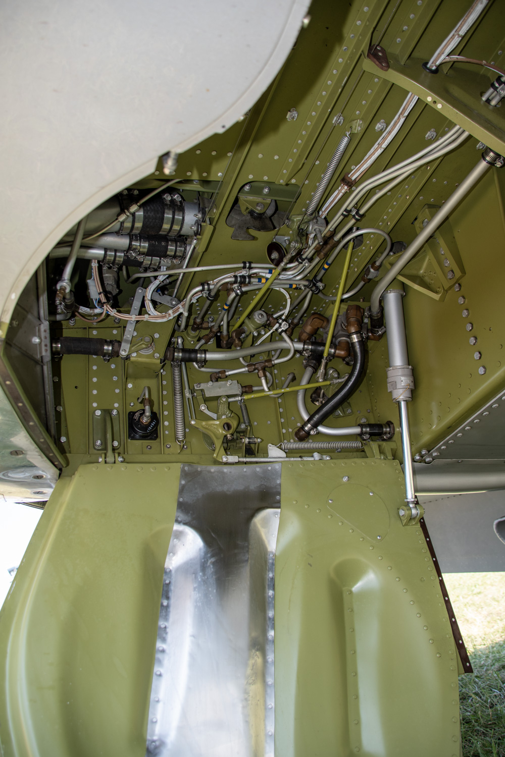 FSDWAA0924_20