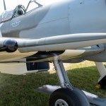 FSDWAB0924_01