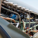 FSDWAB0924_08