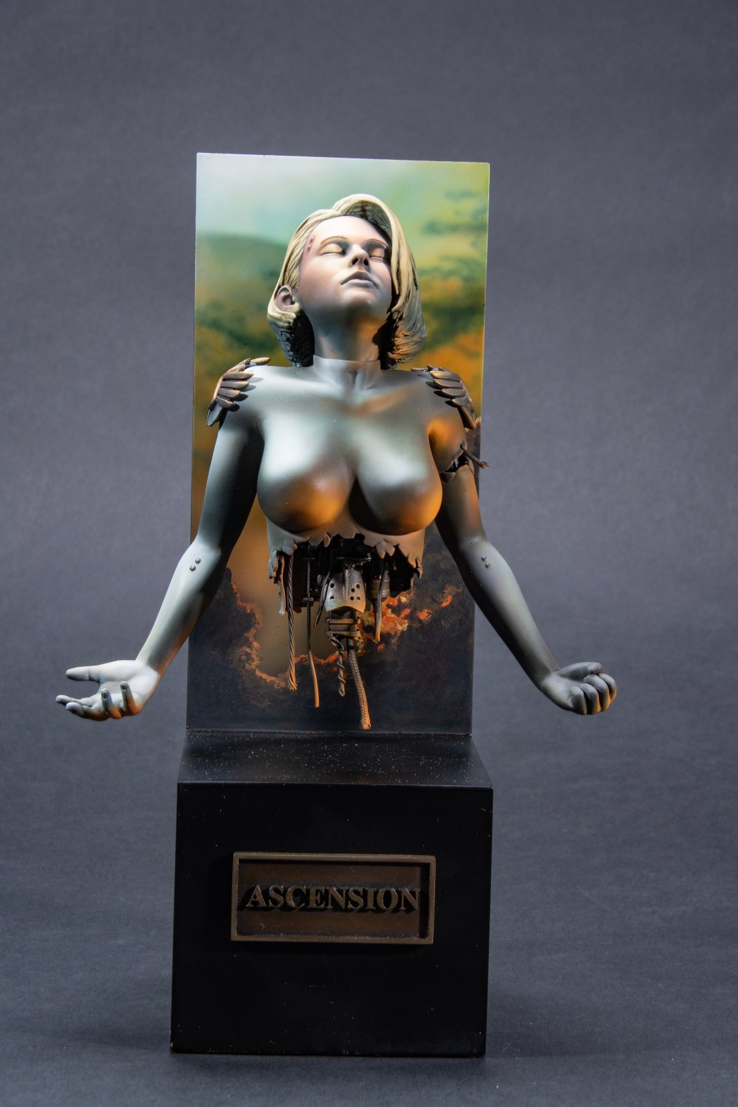 FSDMM1024_15