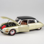 FSDCF0225_09