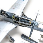 FSDRT0425_25a