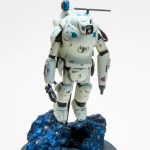 FSDWF0625_27