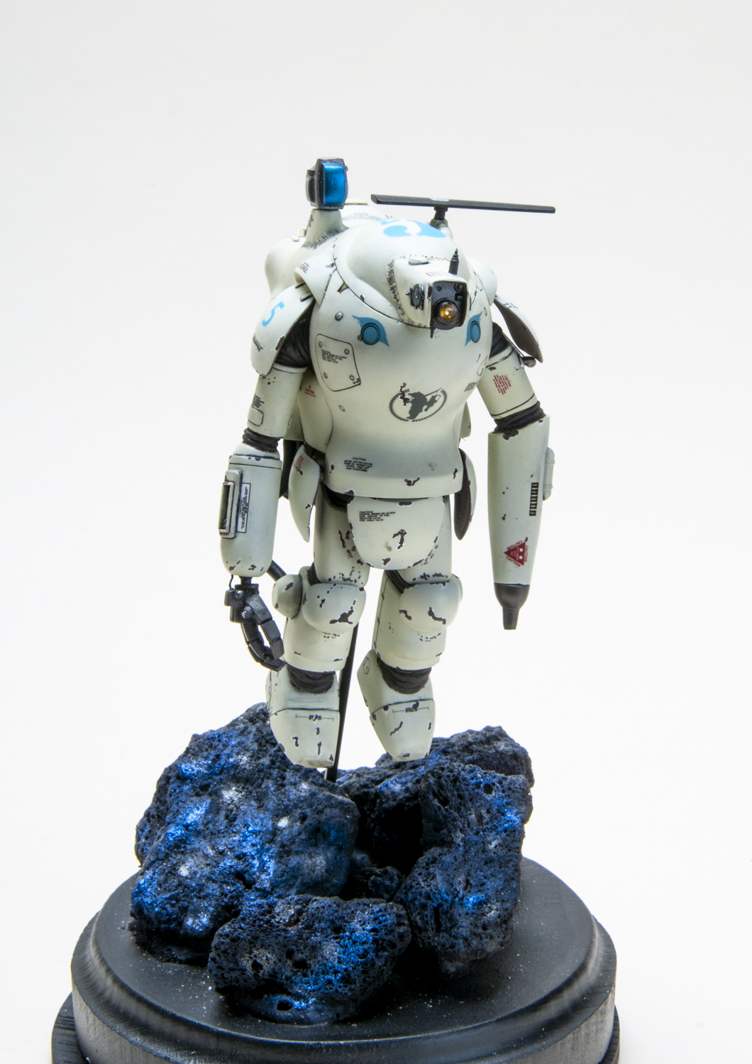FSDWF0625_27