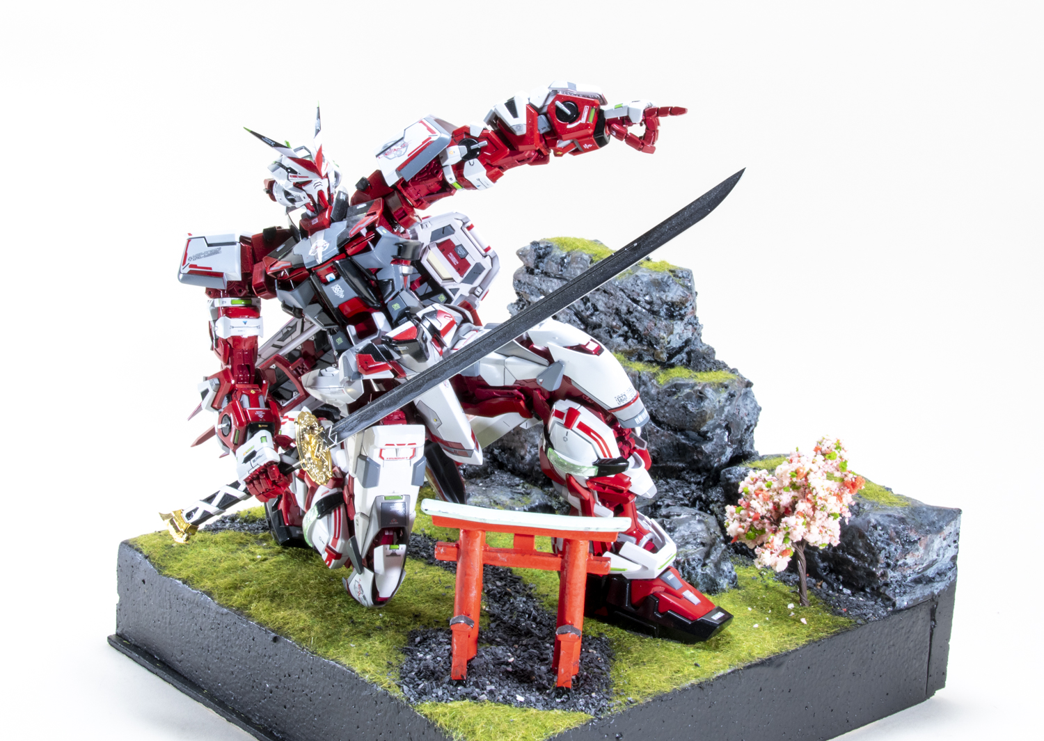 FSDIP2025_147