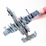 FSDIP2025_37a