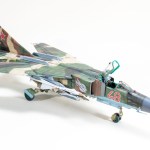 FSDIP2025_82