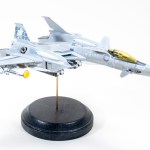 FSDBO1125_23