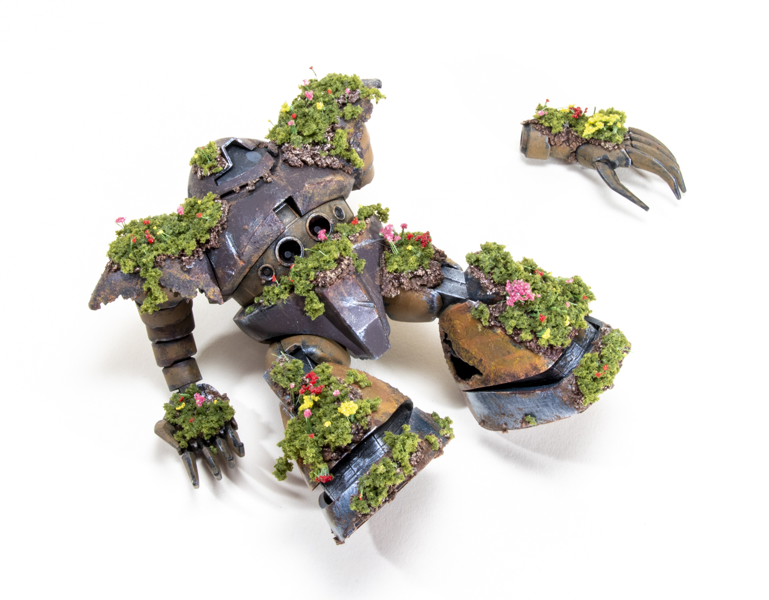 FSDNC1025_02