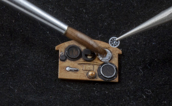 FSDSNAP041_06cropped