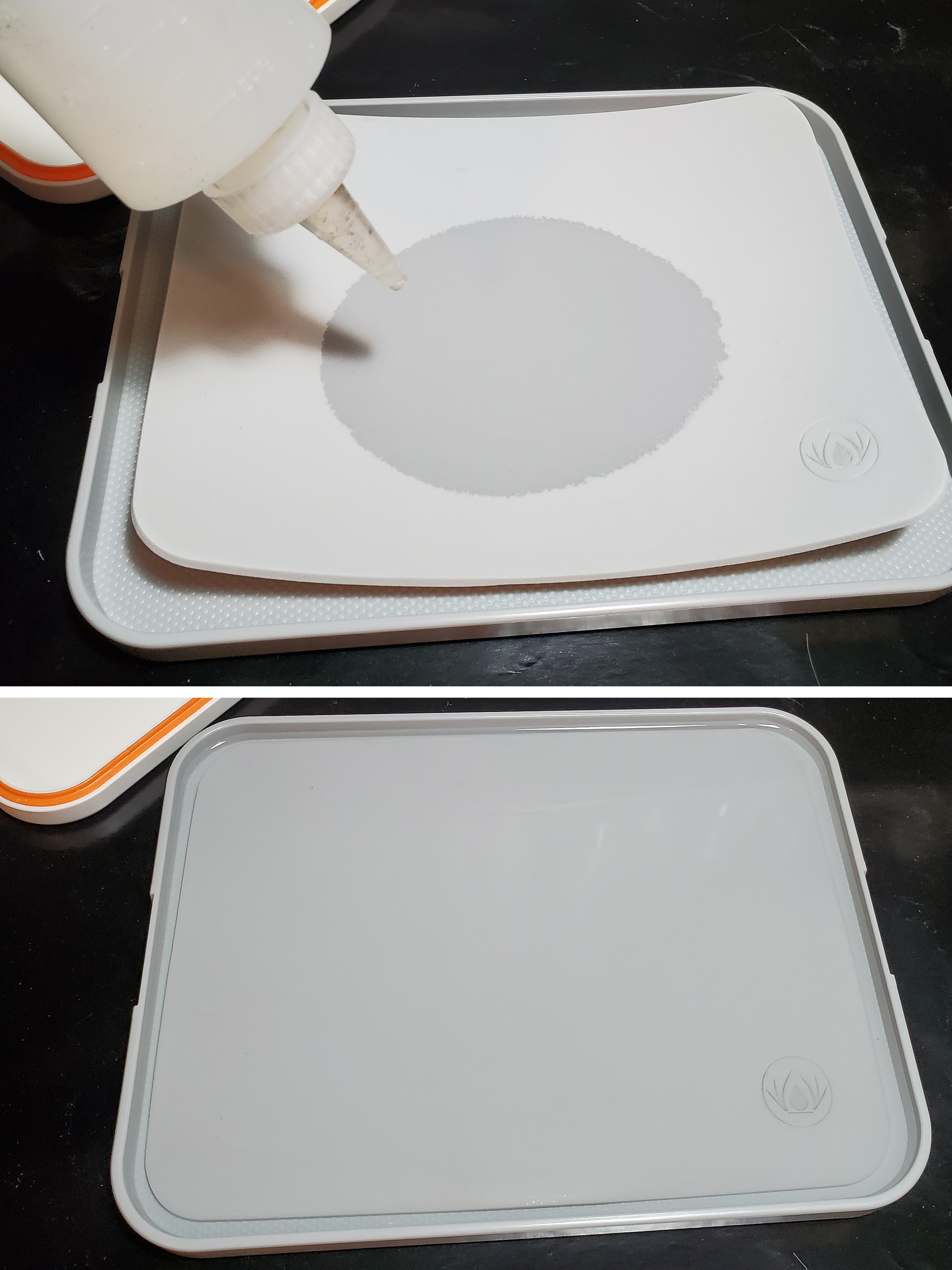 FSDSNAP043_02GROUPED