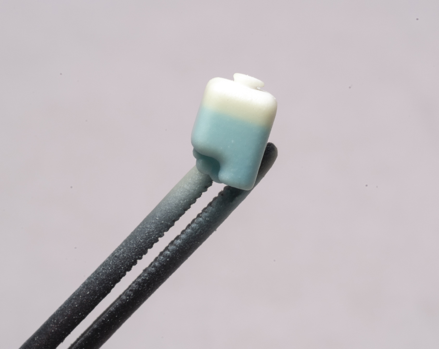 FSDSNAP053_04cropped