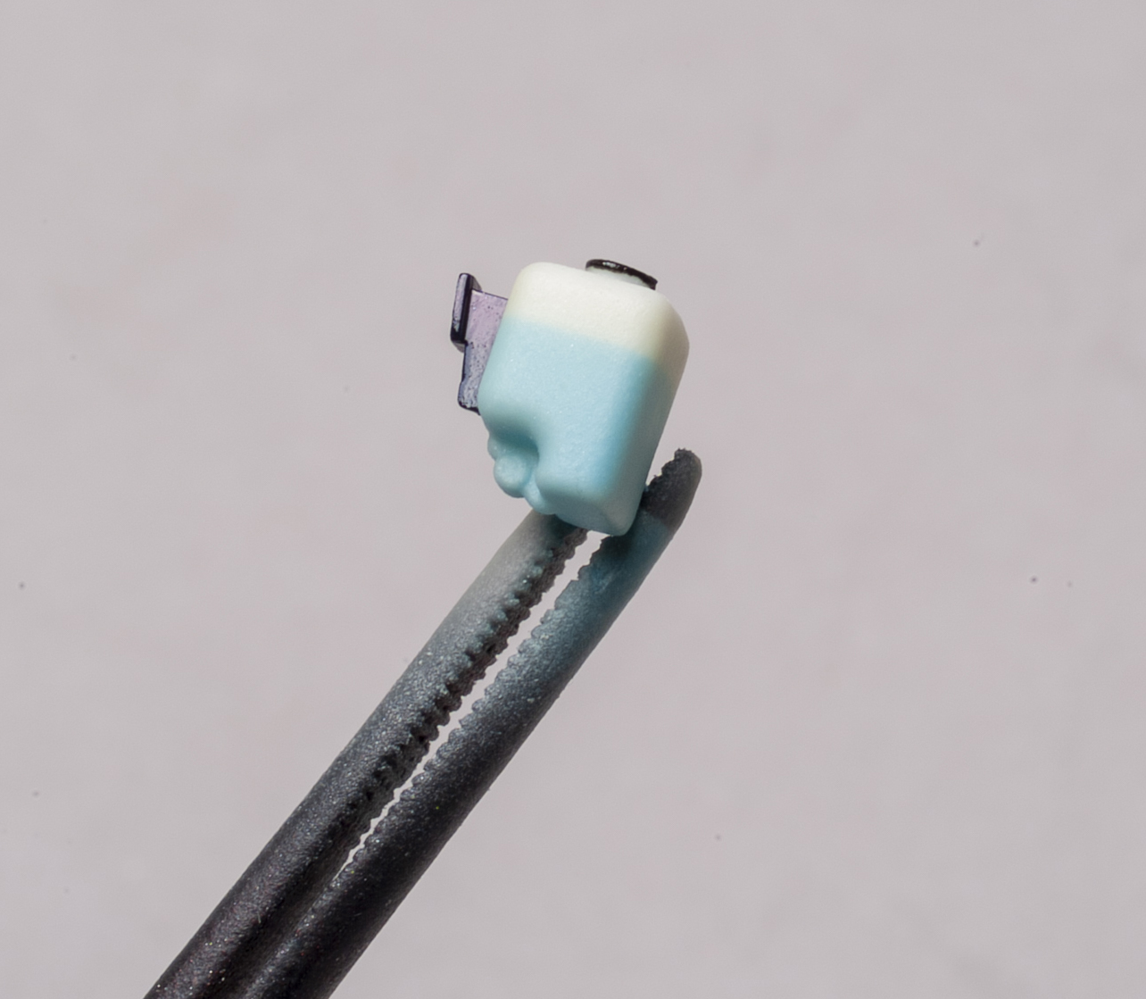 FSDSNAP053_05cropped