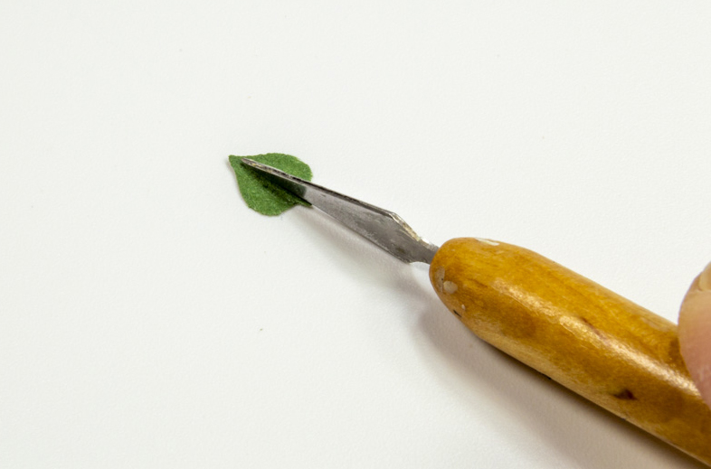 FSDSNAP061_04cropped