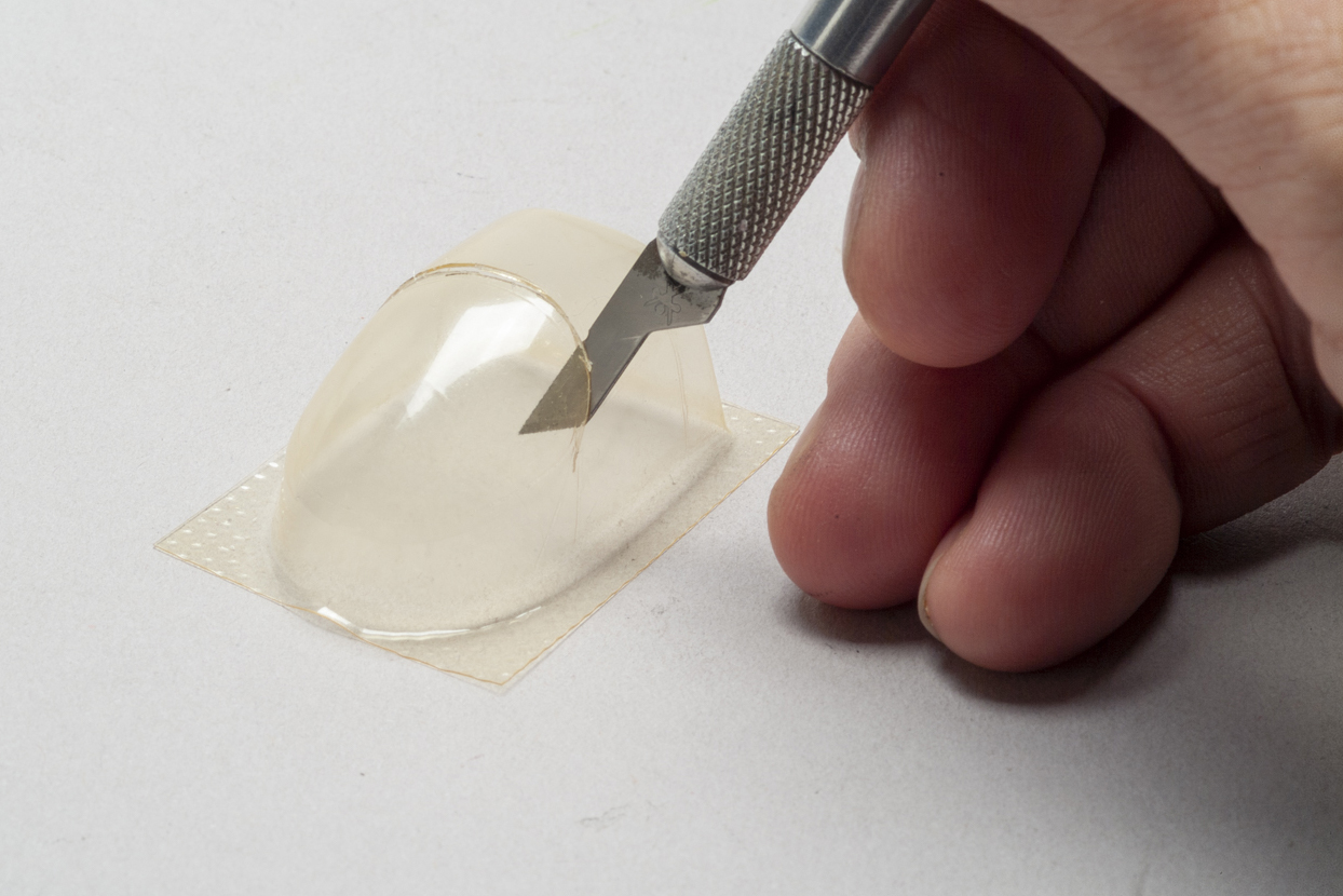 FSDSNAP040_04cropped