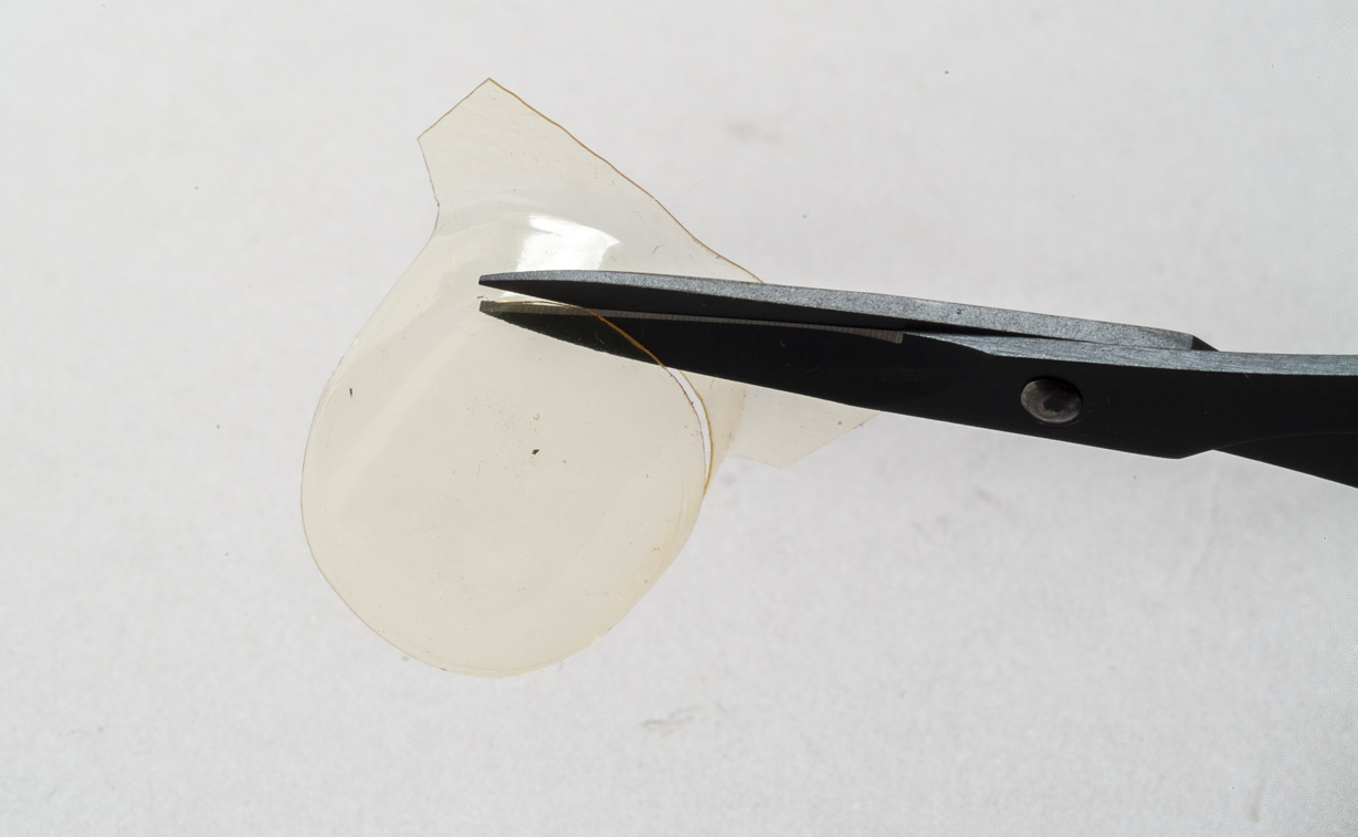 FSDSNAP040_05cropped