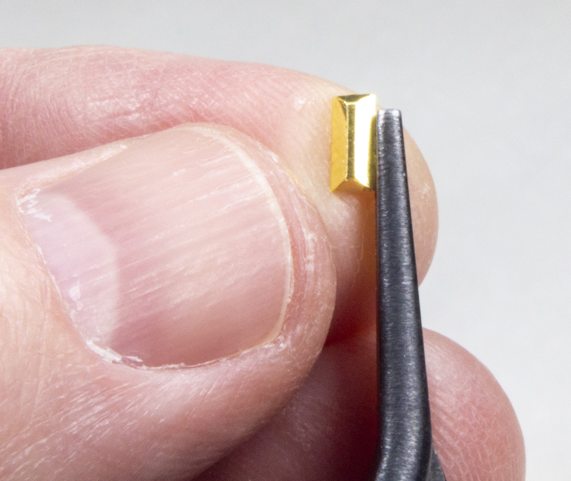 FSDSNAP027_05acropped