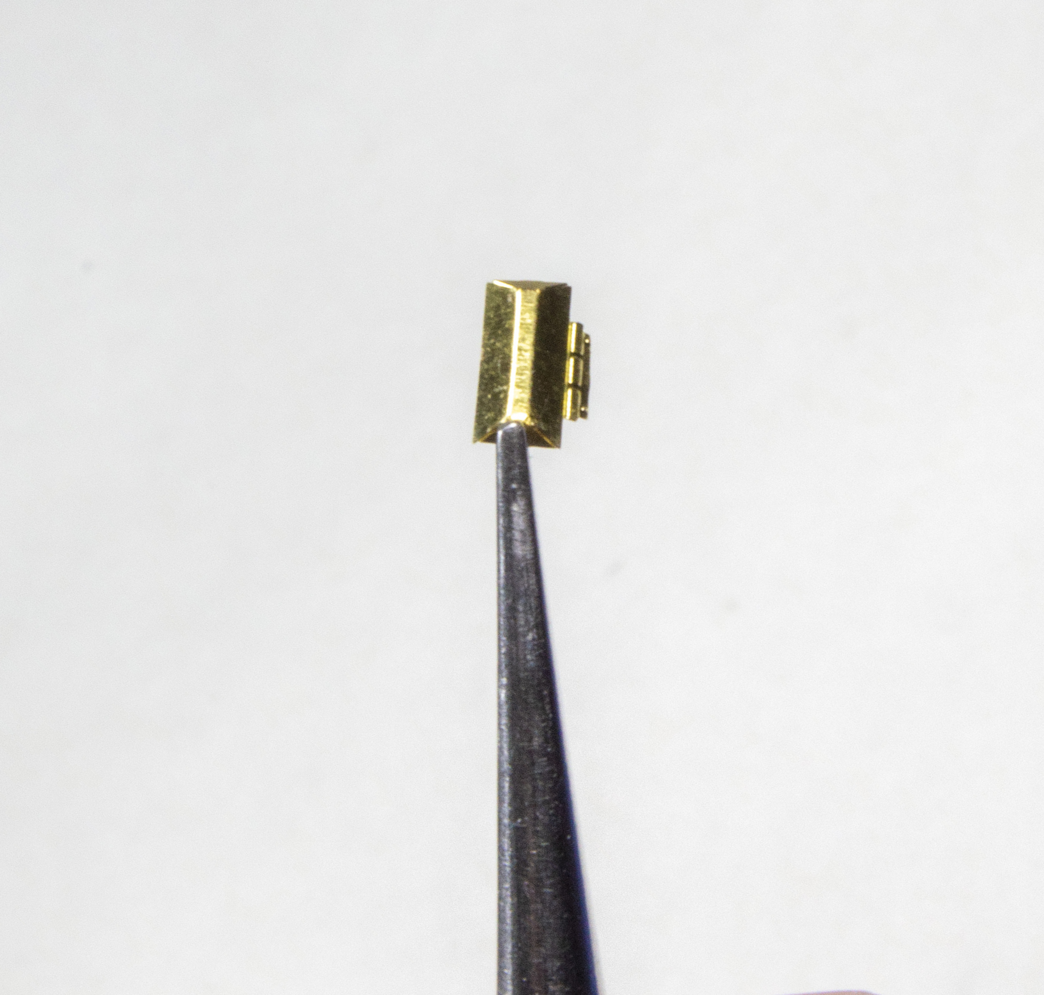 FSDSNAP027_05bcropped