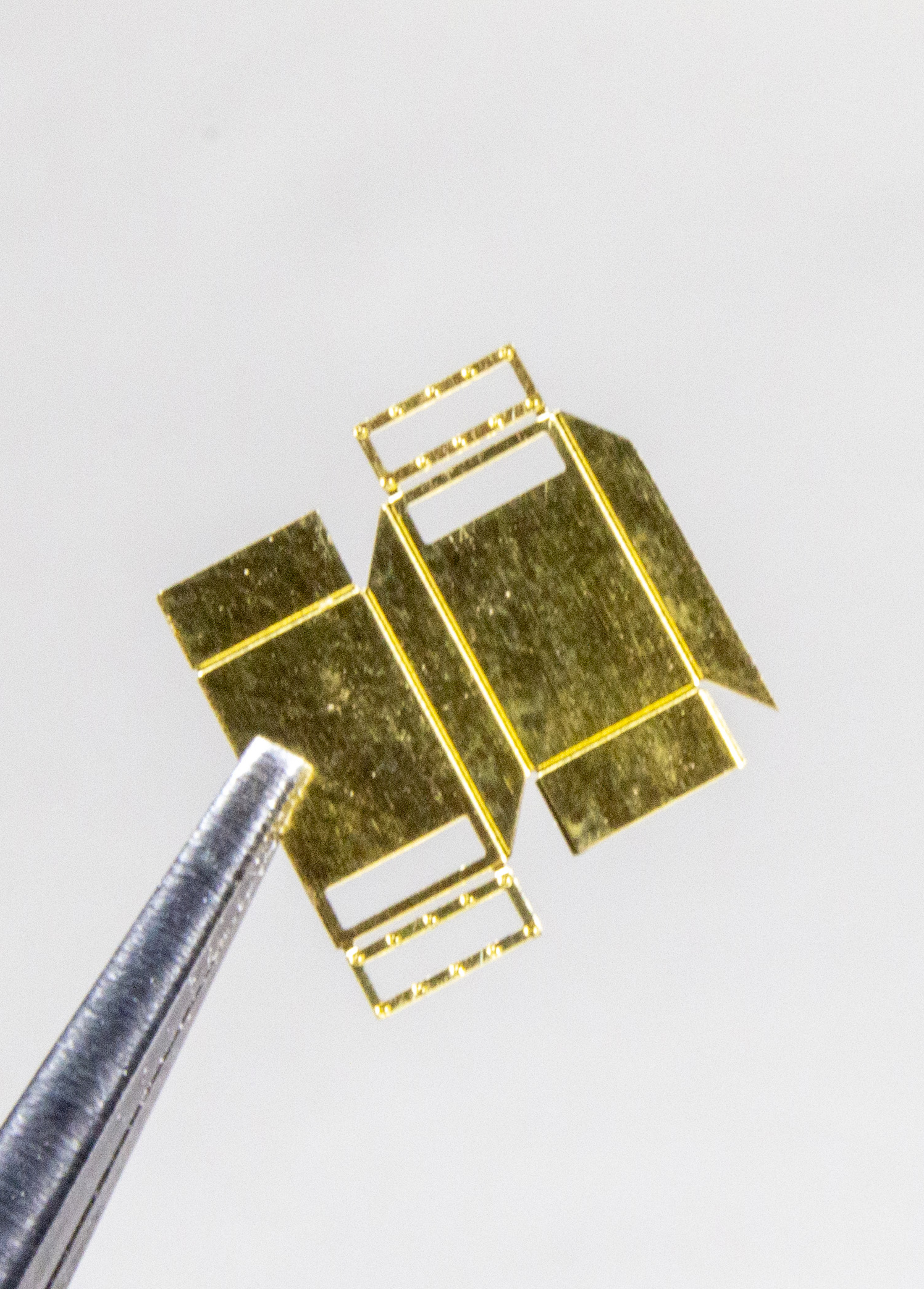 FSDSNAP027_06acropped