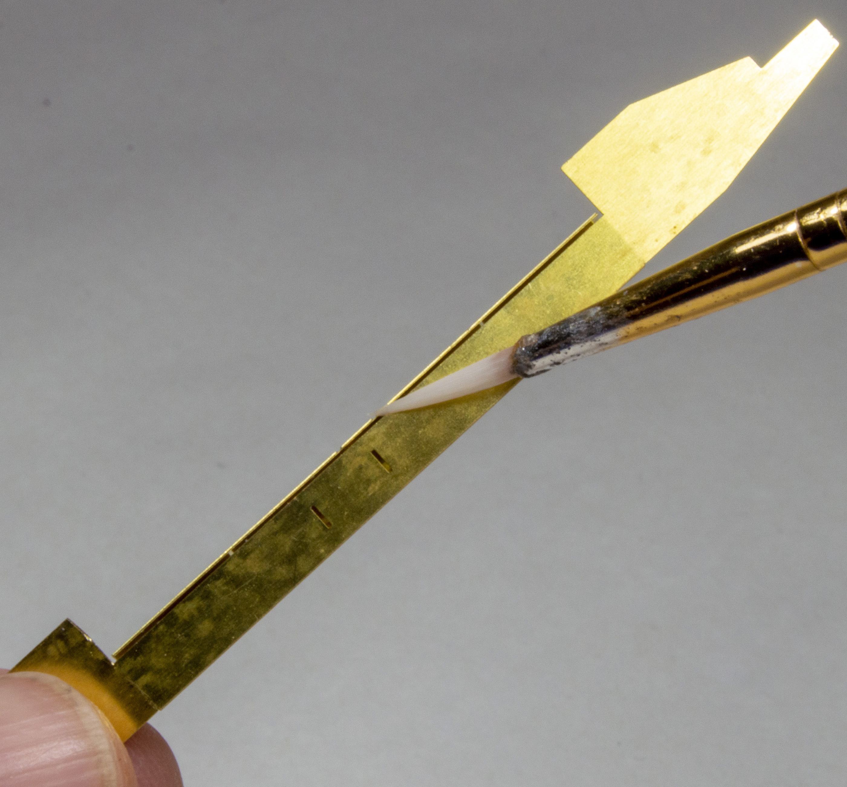 FSDSNAP029_01cropped