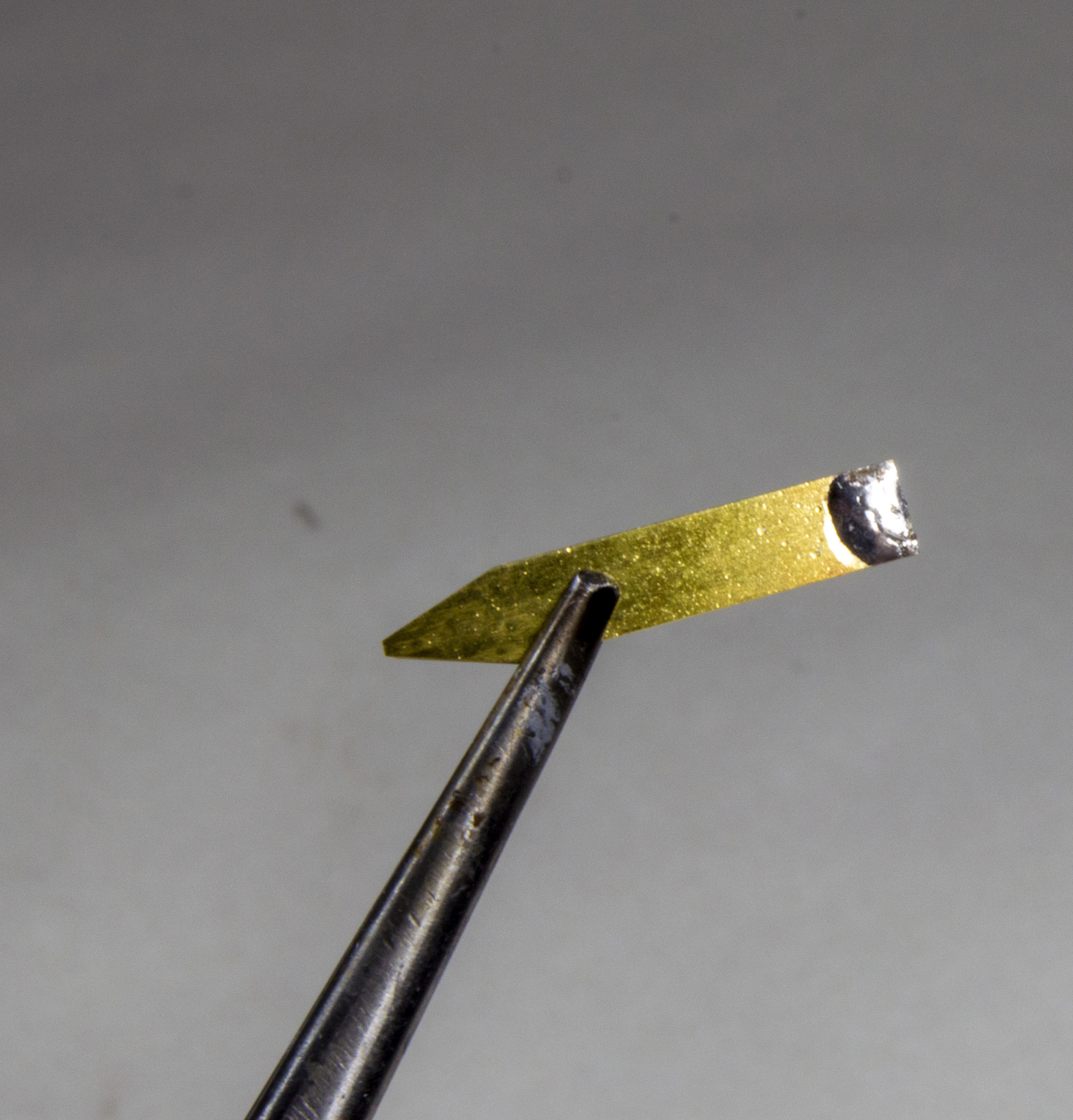 FSDSNAP029_06cropped