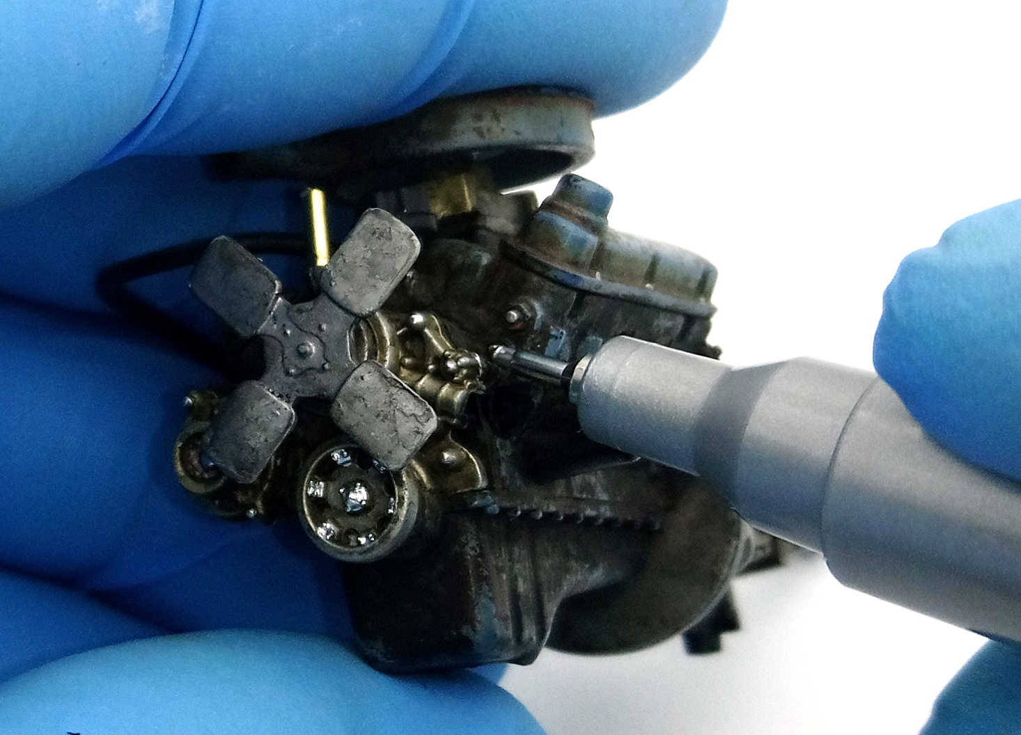 FSDSNAP033_08cropped