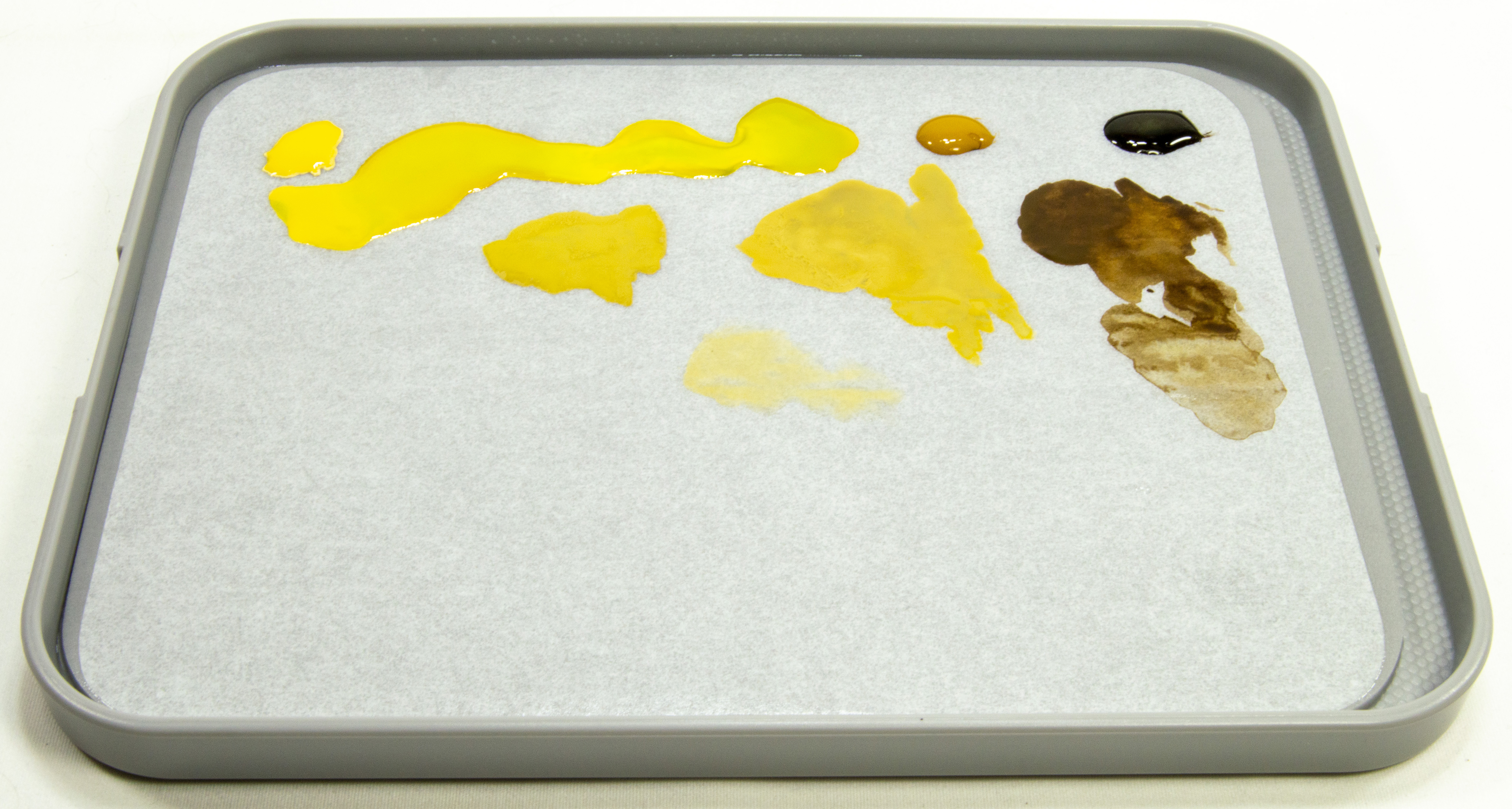 FSDSNAP035_03cropped