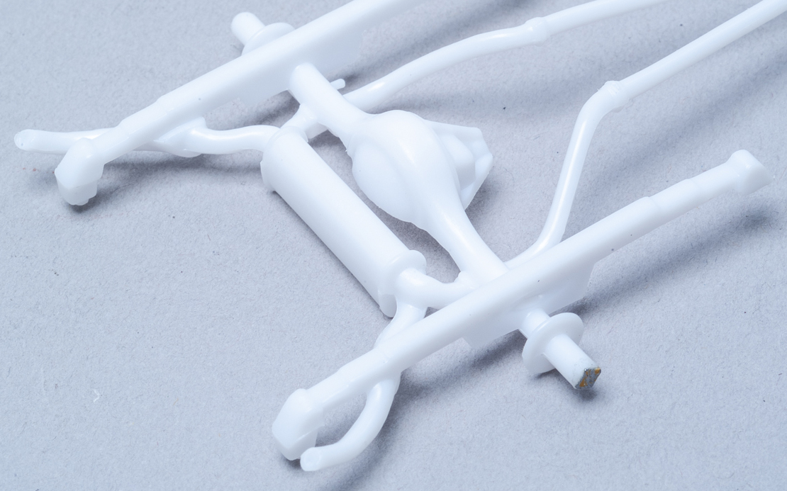 FSDSNAP039_04cropped