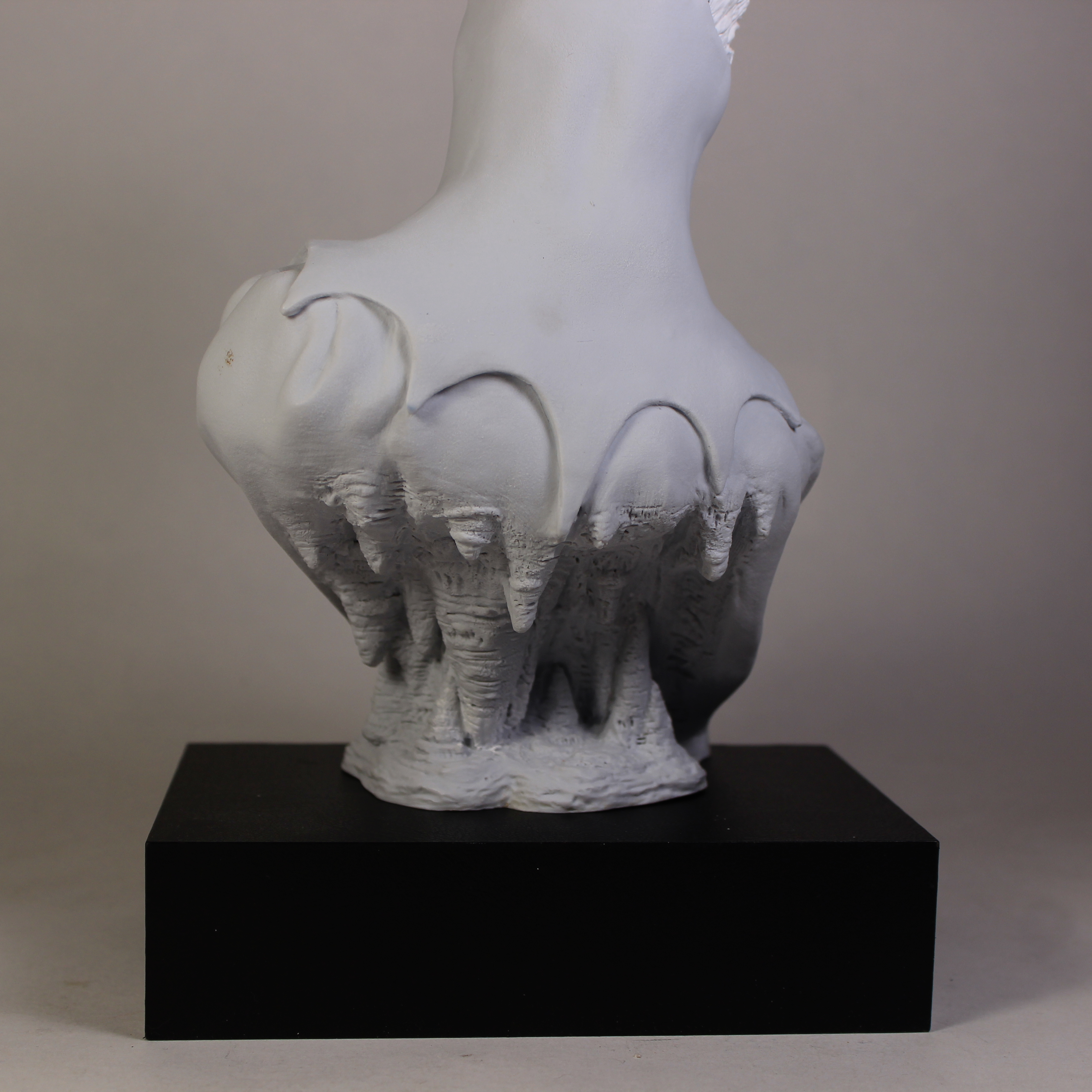 02PaintBatmanCapeIMG_5714