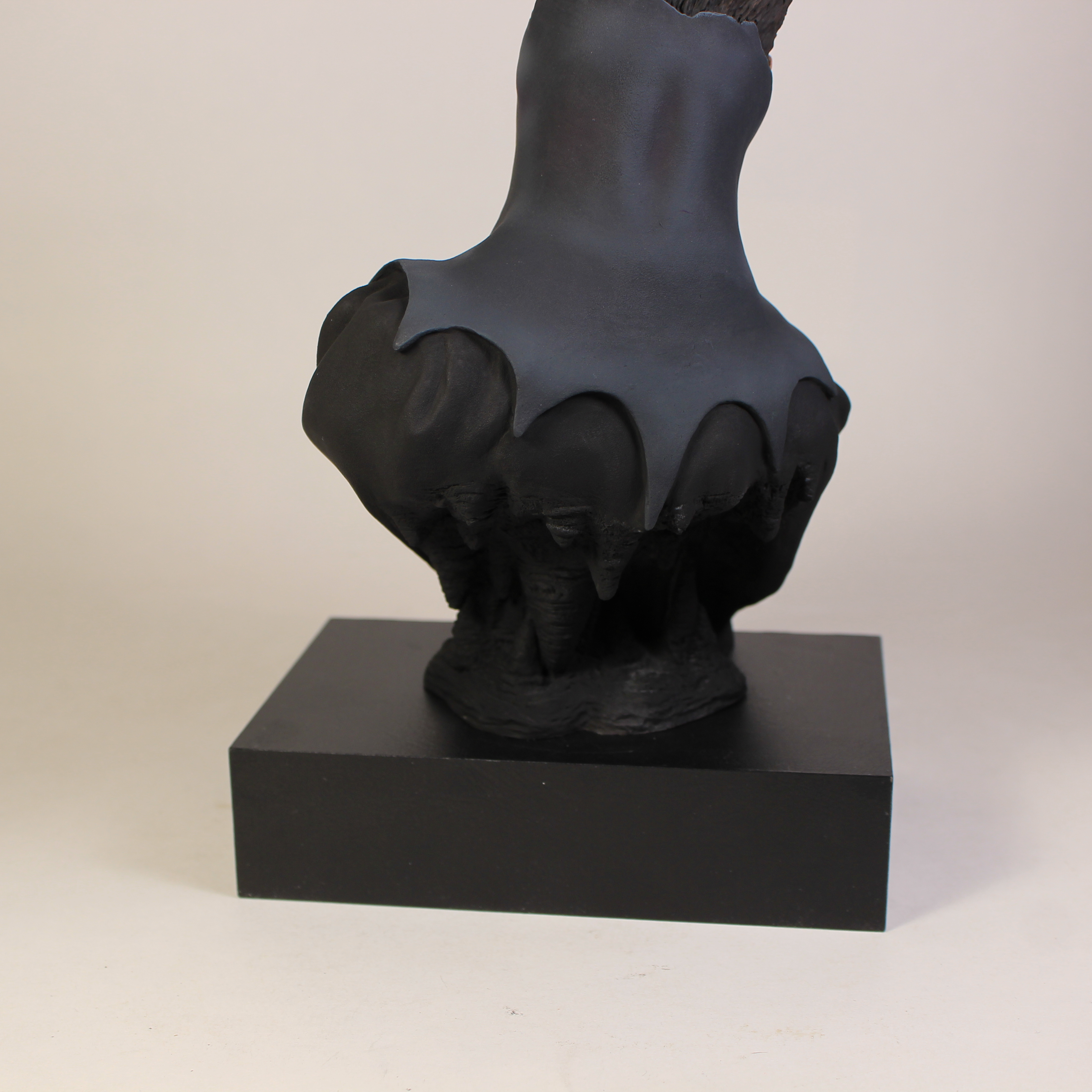 19PaintBatmanCapeIMG_5848